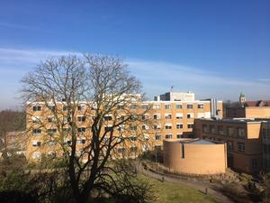 Das Maria-Josef-Hospital gehört dem Krankenhaus-Verbund der St. Franziskus-Stiftung Münster an. Das Maria-Josef-Hospital gehört dem Krankenhaus-Verbund der St. Franziskus-Stiftung Münster an.